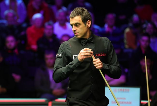 也不例外 也不例外